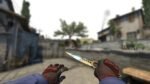 Skeleton Knife | Case Hardened (Well-Worn) - Imagem 2