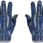 Sport Gloves | Amphibious (Field-Tested)