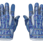 Sport Gloves | Amphibious (Minimal Wear)