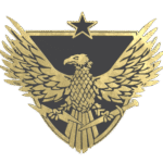 Brigadier General Pin