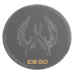 Guardian Elite Pin