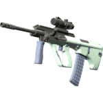 Souvenir AUG | Storm (Field-Tested)