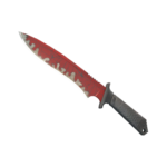 Classic Knife | Crimson Web (Well-Worn)