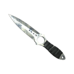 Skeleton Knife | Stained (Battle-Scarred)