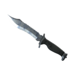 Bowie Knife | Stained (Factory New)
