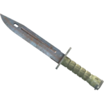 Bayonet | Rust Coat (Well-Worn)