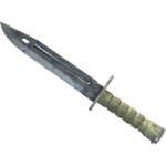Bayonet | Stained (Factory New)