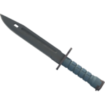 Bayonet | Night (Minimal Wear)