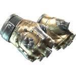 Bloodhound Gloves | Bronzed (Factory New)