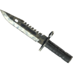 M9 Bayonet | Stained (Battle-Scarred)