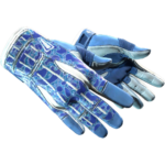 Sport Gloves | Amphibious (Factory New)