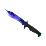 Bowie Knife | Doppler (Minimal Wear)