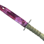 Bayonet | Doppler Phase 2 (Factory New)