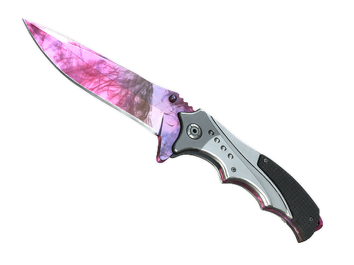 nomad-knife-doppler-phase-2-factory-new.png Nomad Knife | Doppler Phase 2 (Factory New) - Imagem 1